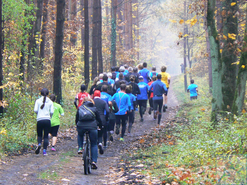 auch auf der langen Strecke ging es mit Fahrradbegleitung ab in den Wald